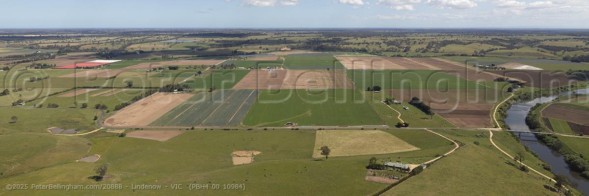 Peter Bellingham Photography Lindenow - VIC (PBH4 00 10984)